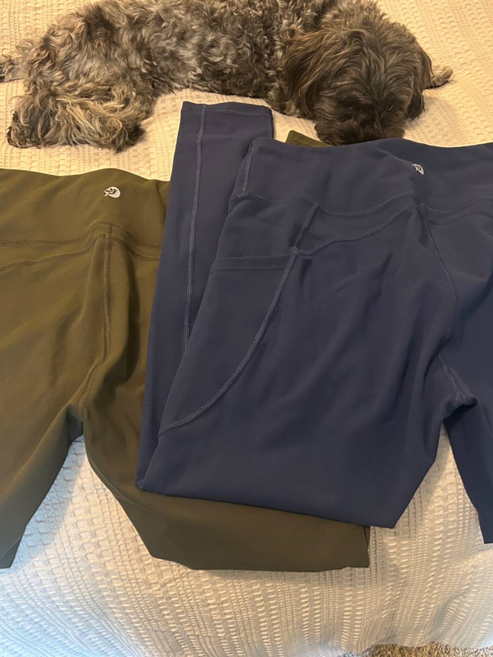 High-Rise Pocket Leggings in Olive Green and Navy